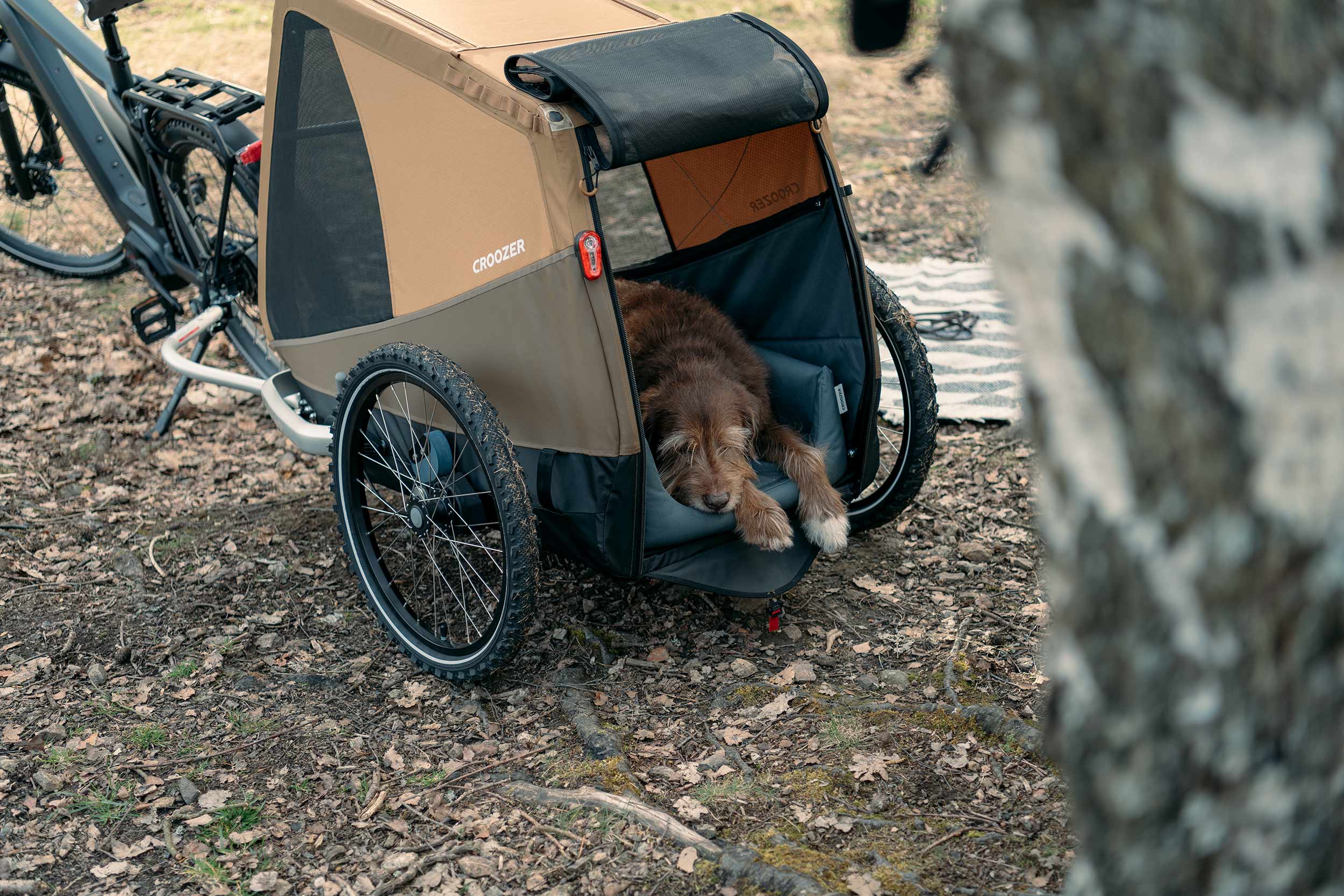Tired dog sleeping peacefully on Dog Bed inside Croozer Dog trailer
